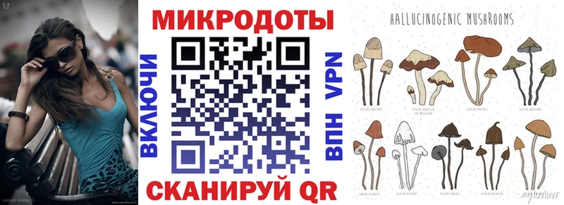 Псилоцибиновые грибы Cubensis  Кушва 